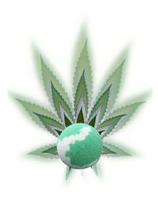 Cannabis Blossom
