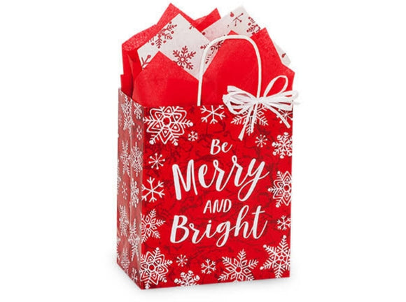 $30 Christmas Mystery Bag